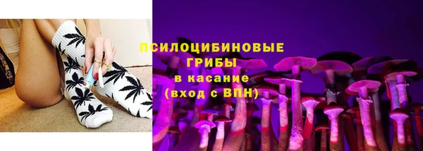 гашик Саяногорск