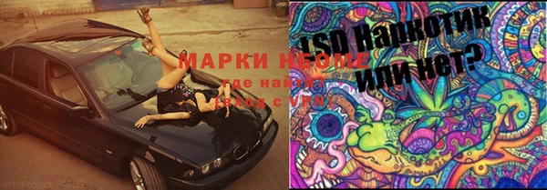 спиды Сафоново